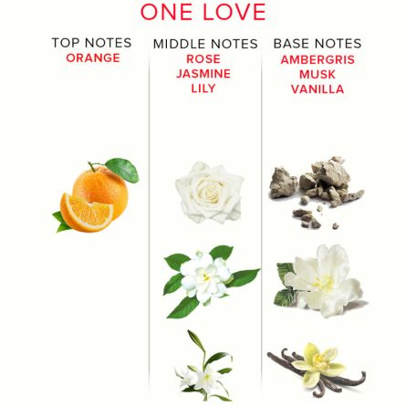 PERFUME COM FEROMONAS ONE LOVE | 10 ML - Image 3